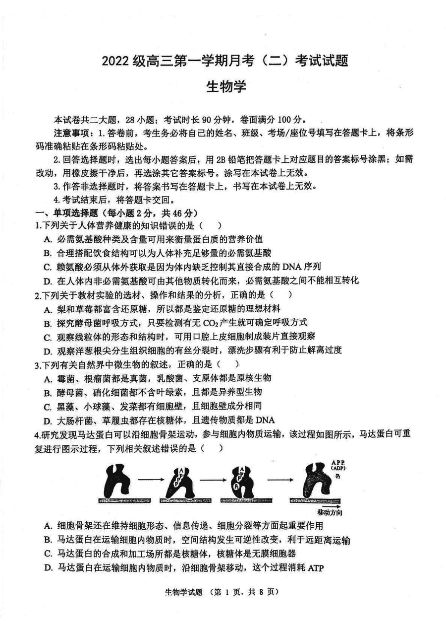 陕西西安2025届高三上学期11月月考（二）生物试卷及参考答案
