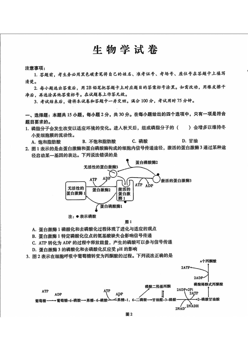 包头市2025届高三下学期4月二模生物试卷及参考答案
