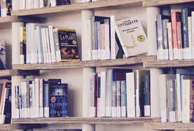 高考多少分能被上海外国语大学录取 附2023各省录取最低分及位次