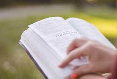 2025北京联合大学在辽宁各专业录取分数线及对应位次 最低473分