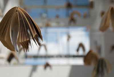 2025河北石油职业技术大学在辽宁各专业录取分数线及对应位次 最低355分