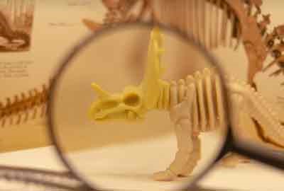 安庆师范大学王牌专业排名 含2024年全国各省录取最低分数线