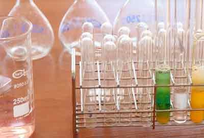 2025扬州大学广陵学院在山东各专业录取分数线及对应位次 最低475分